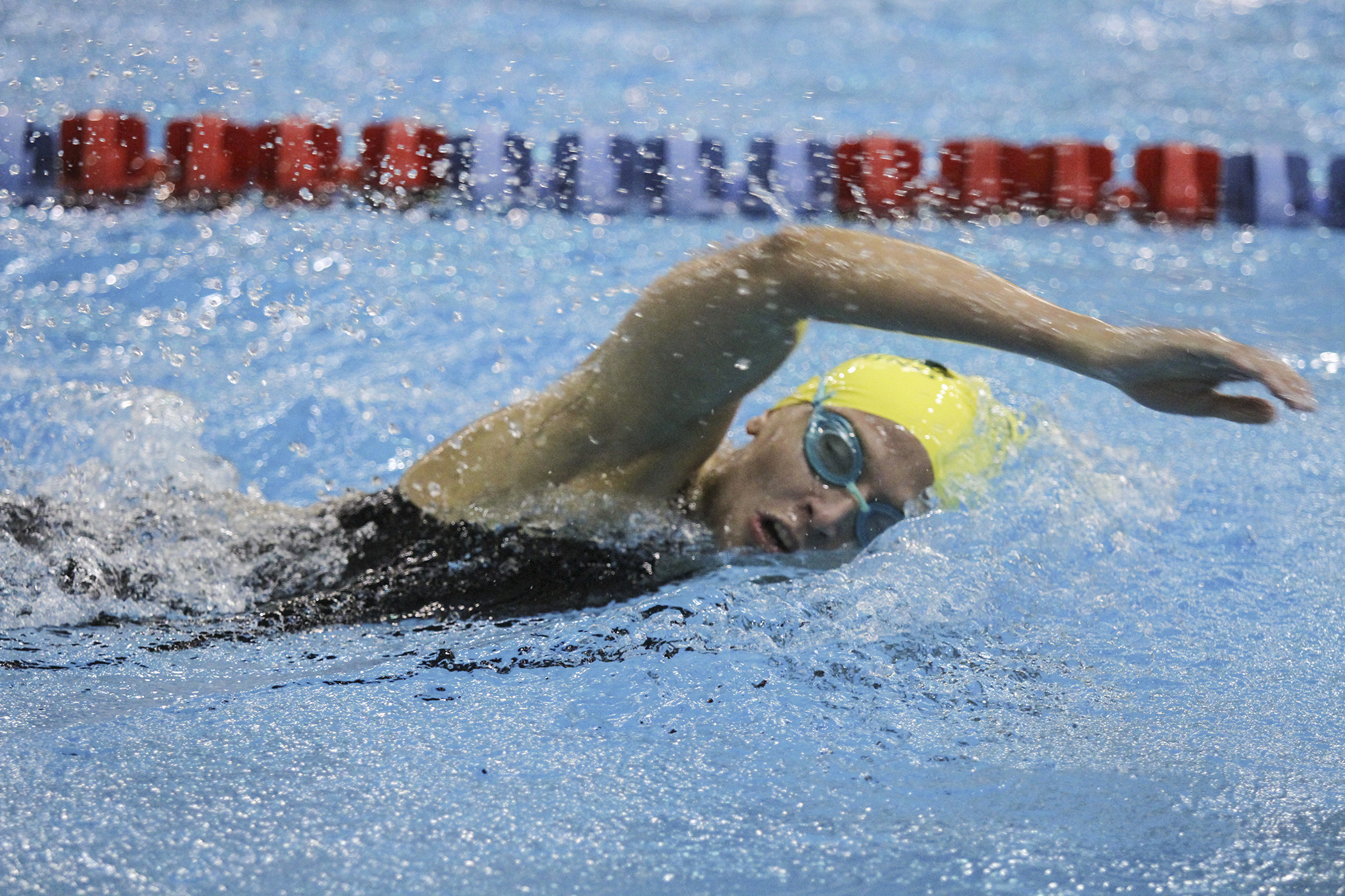 2014 Naia Mens And Womens Swimming And Diving National Championship